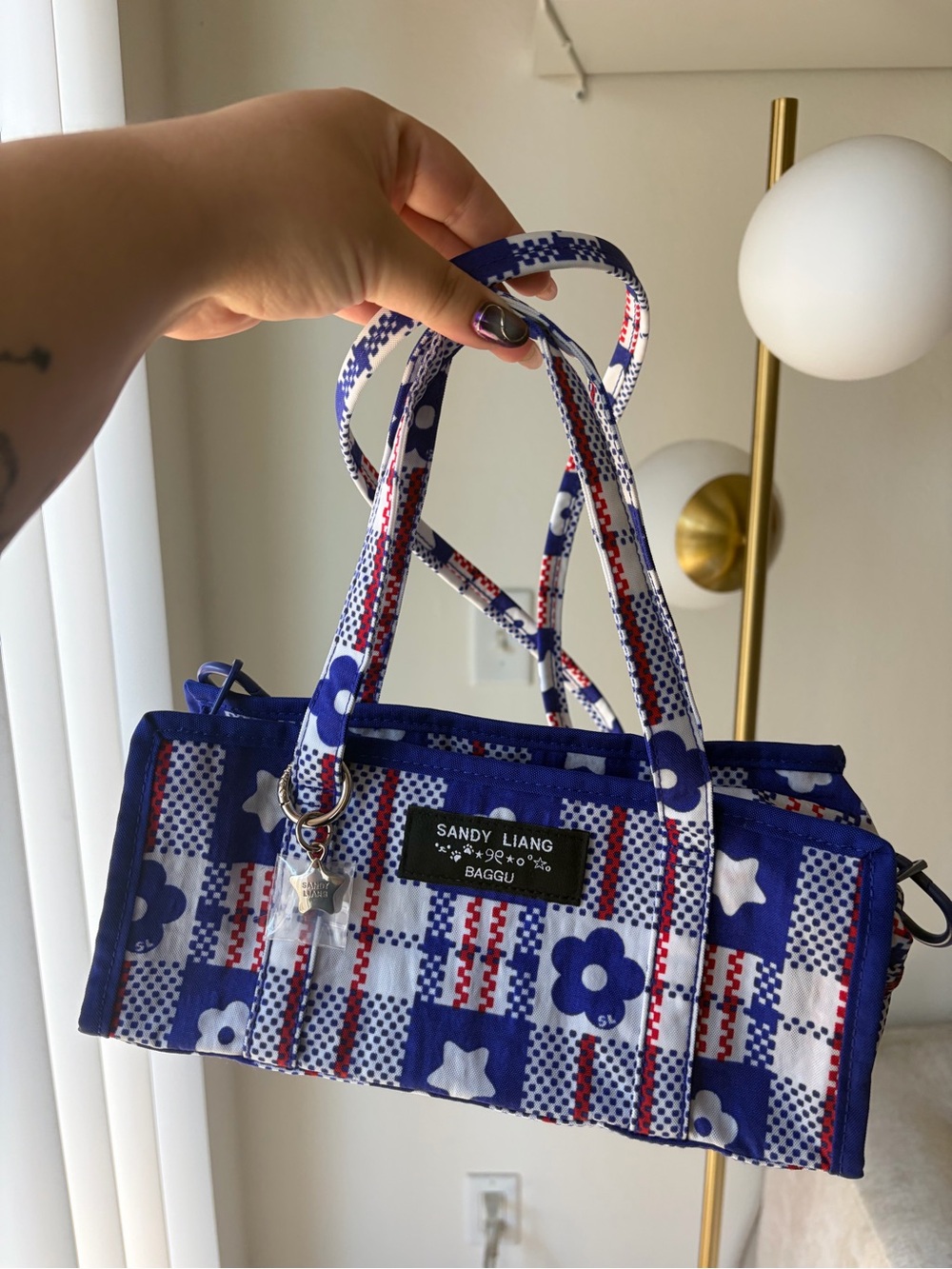 Sandy Liang Blue White and Red Floral Plaid Mini Bag